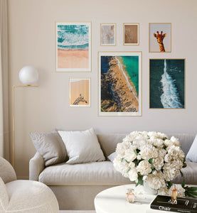 Coastal Contrast